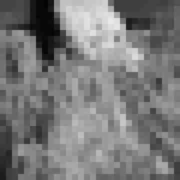 Phorus