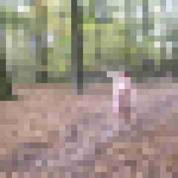 Letsy4u2c