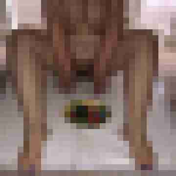 FickSchweine69