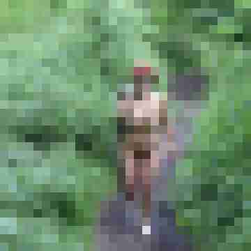 gbfilmpaar