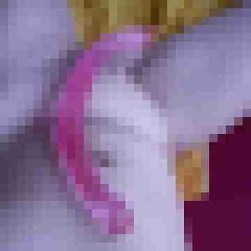Geiler09