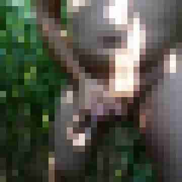 Tscharlie7