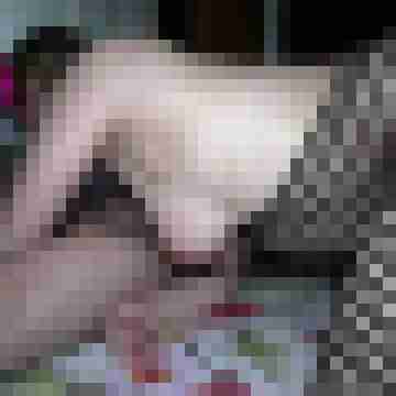 picturefreak