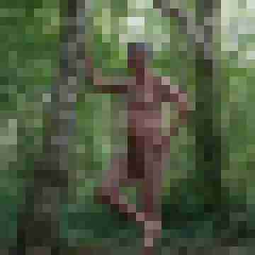 bi-lingam