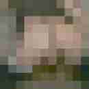 tvlochbln