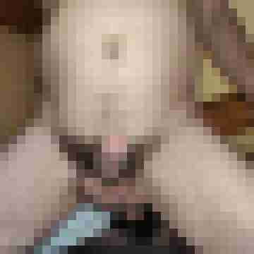 buschiMuschi_pralleEier