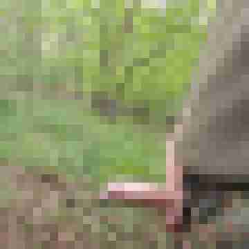 ironheart83