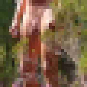 achimenjoy