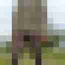 Nylonboy57