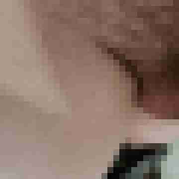 funratte