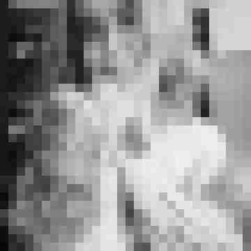 Eule_41