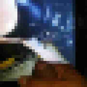 nic12
