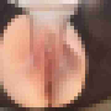 stutenlover
