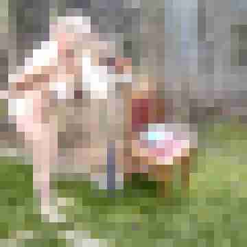 Letsy4u2c