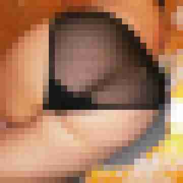 arschstute