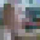 Hengst1031