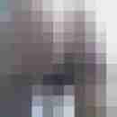 Hengst1031