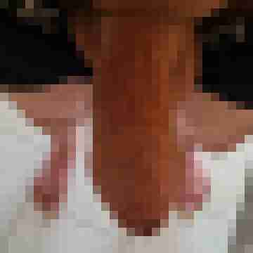 spitz82
