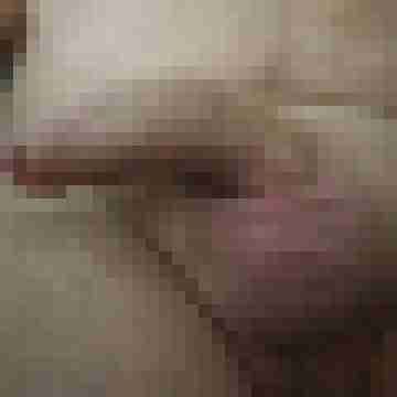 hornyxsar