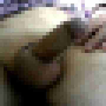 wolly09