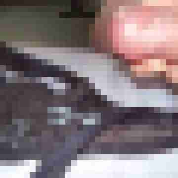Andimagesgeil