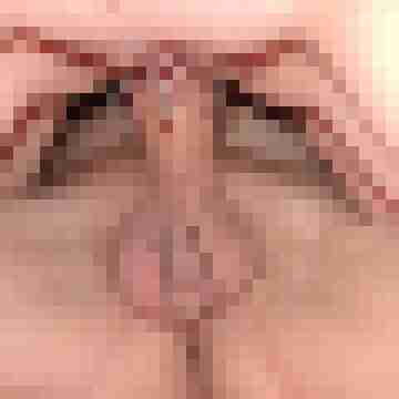 heisse-bine