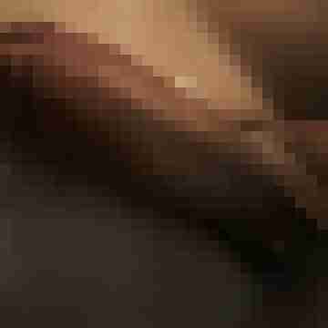 Lex_X