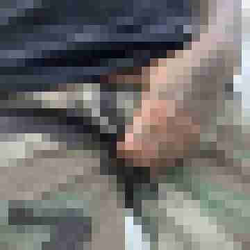 HH_Digga