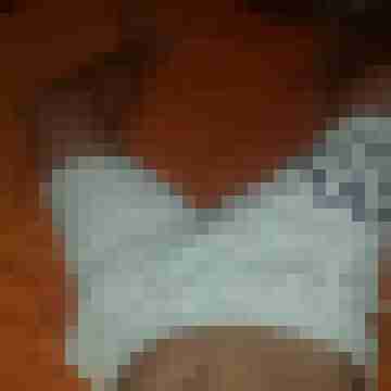 patte83