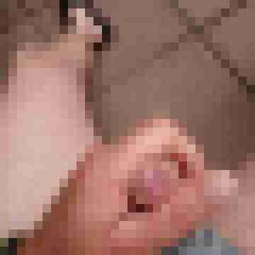 hornyxsar