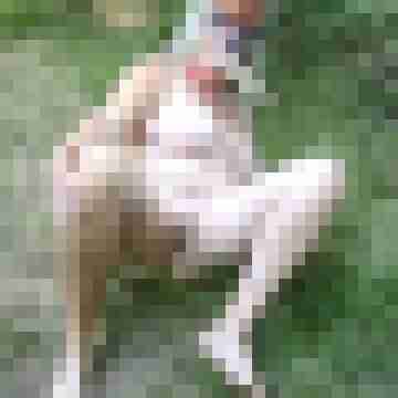 Letsy4u2c