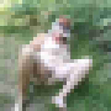 Letsy4u2c