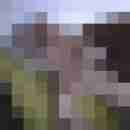 winfried8