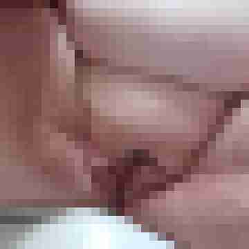 stutenlover