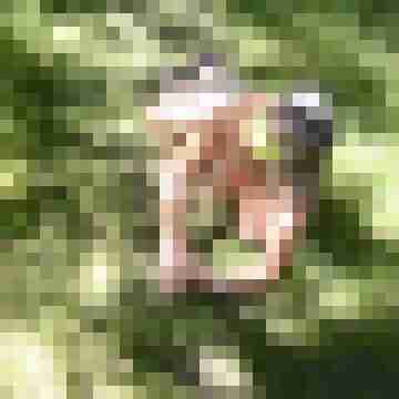 Letsy4u2c