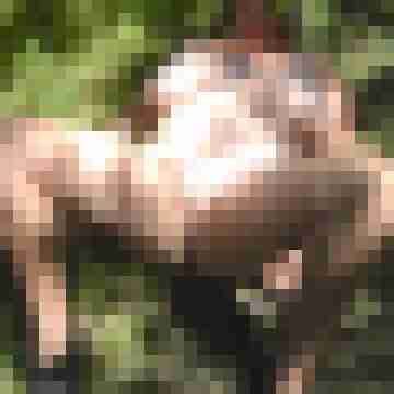 Letsy4u2c