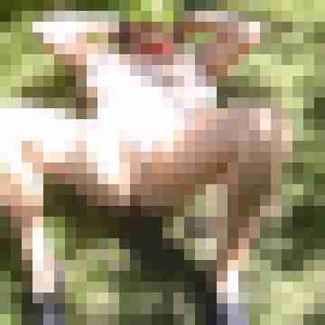 Letsy4u2c