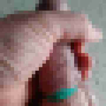 bigeil68