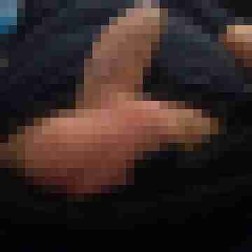 hornyxsar