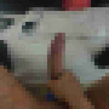 gross_hart84_21