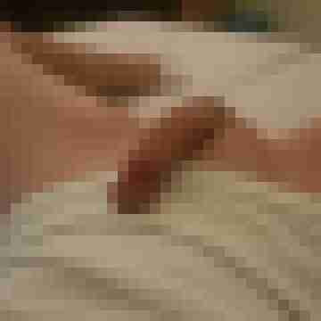 patte83
