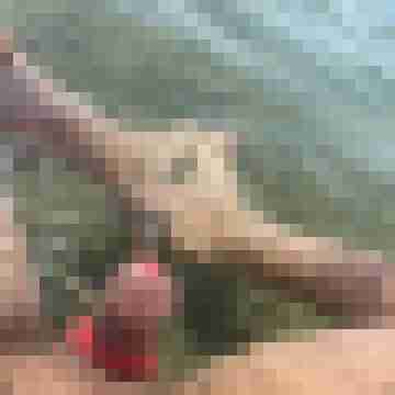 ruttish