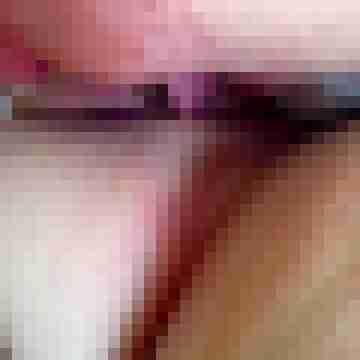 Paardo5860