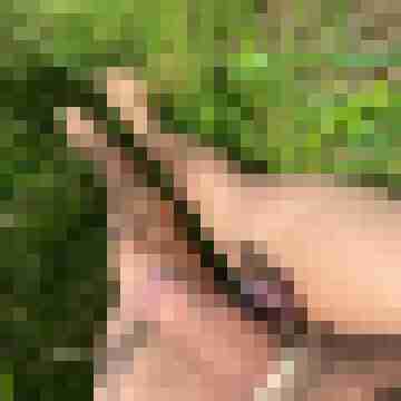 ruttish