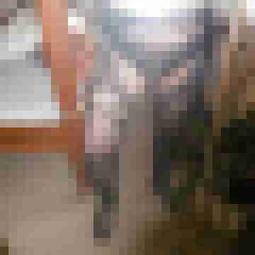cent06333