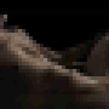 Mond84