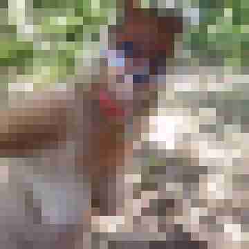 Letsy4u2c