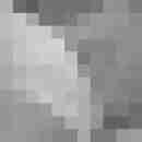 nicelyshyguy