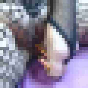 Letsy4u2c
