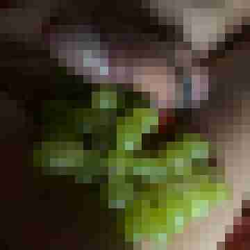 ruttish